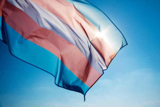 Le associazioni e collettivi di persone Trans* e loro alleate prendono parola sul Tavolo Tecnico annunciato dal Ministero della Salute e della Famiglia.